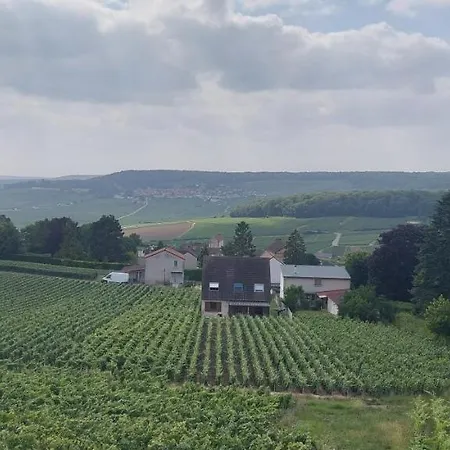 Maison Au Coeur Du Vignoble Champenois Hotel 3*
