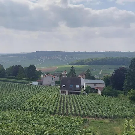Maison Au Coeur Du Vignoble Champenois Hotel